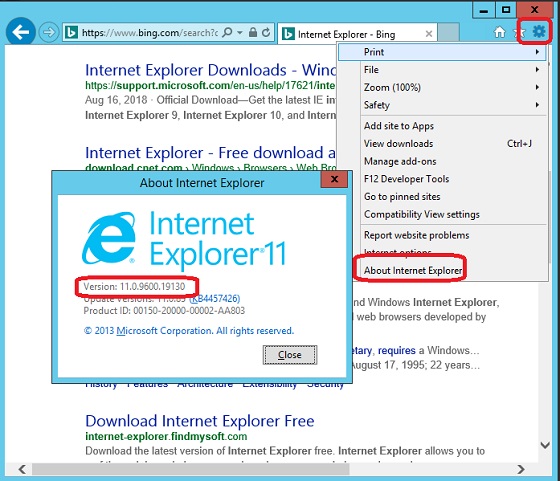 Internet Explorer (IE) Version Info