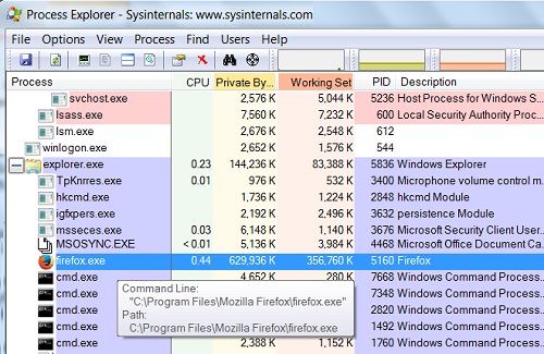 Windows 7 Process Explorer - firefox.exe Processes
