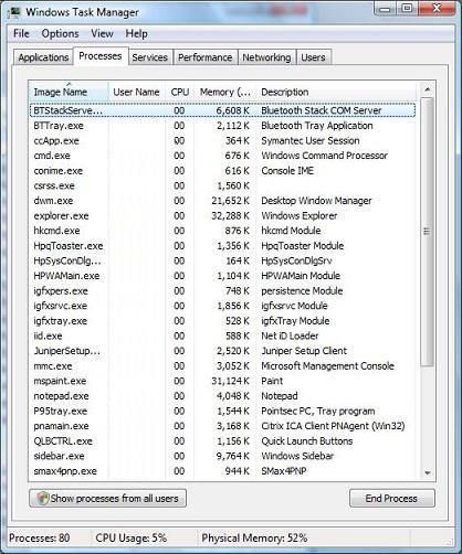 Windows Vista Task Manager Processes